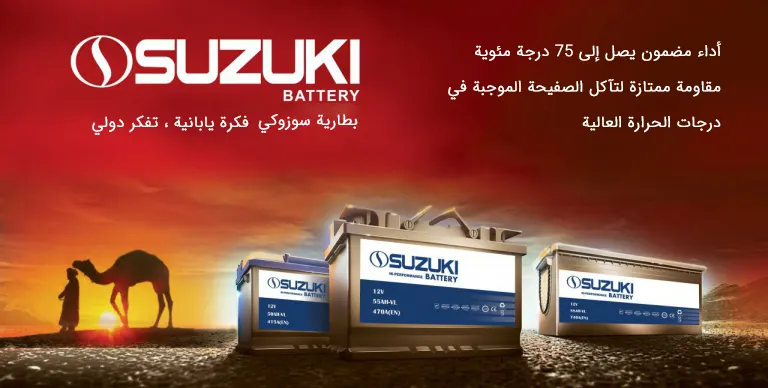 Suzuki battery futures