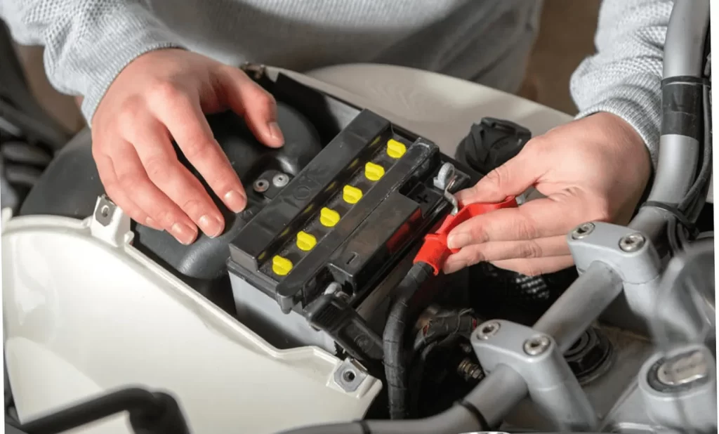 Motorcycle and Car Battery